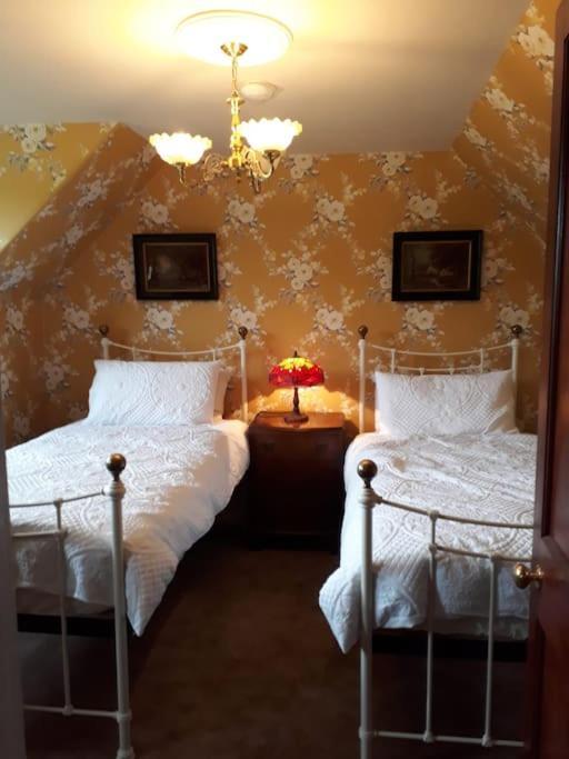 Beautiful Traditional Secluded Country Cottage Sanquhar Kültér fotó